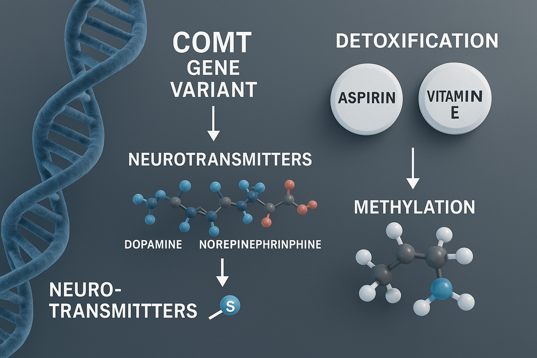 COMT Gene Variants and Cardiovascular Risk: Understanding Neurotransmitter, Detox, and Supplement Interactions