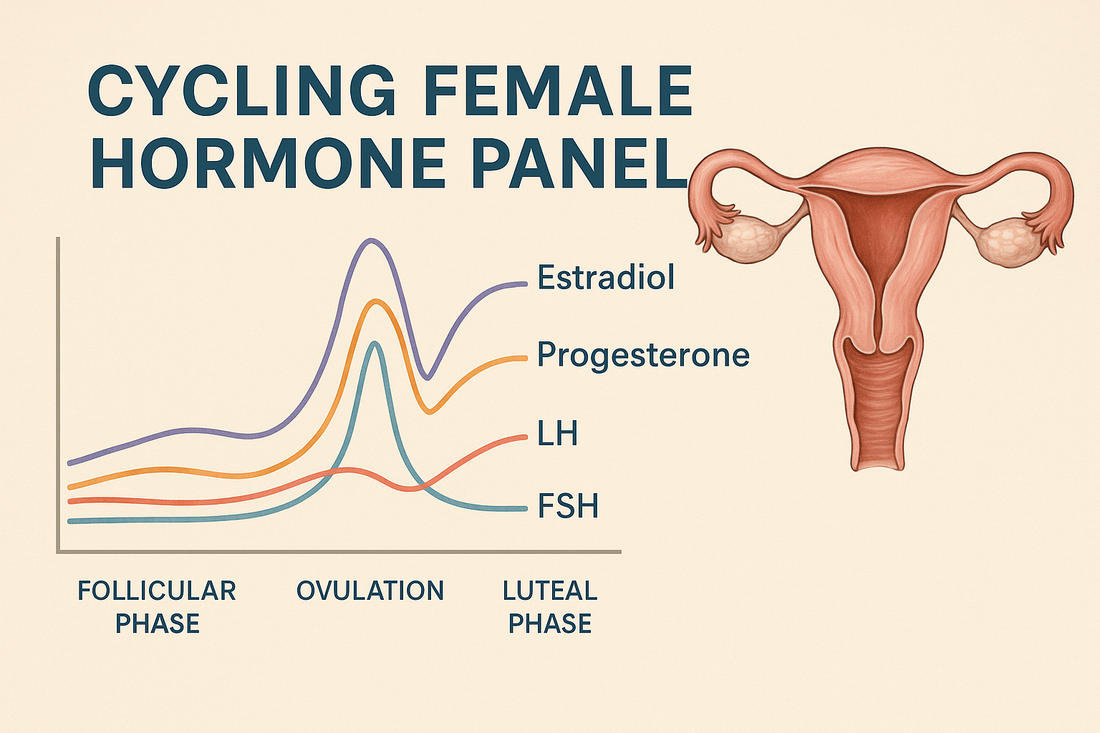 Cycling Female Hormone Panel: Complete Guide to Women’s Hormone Testing