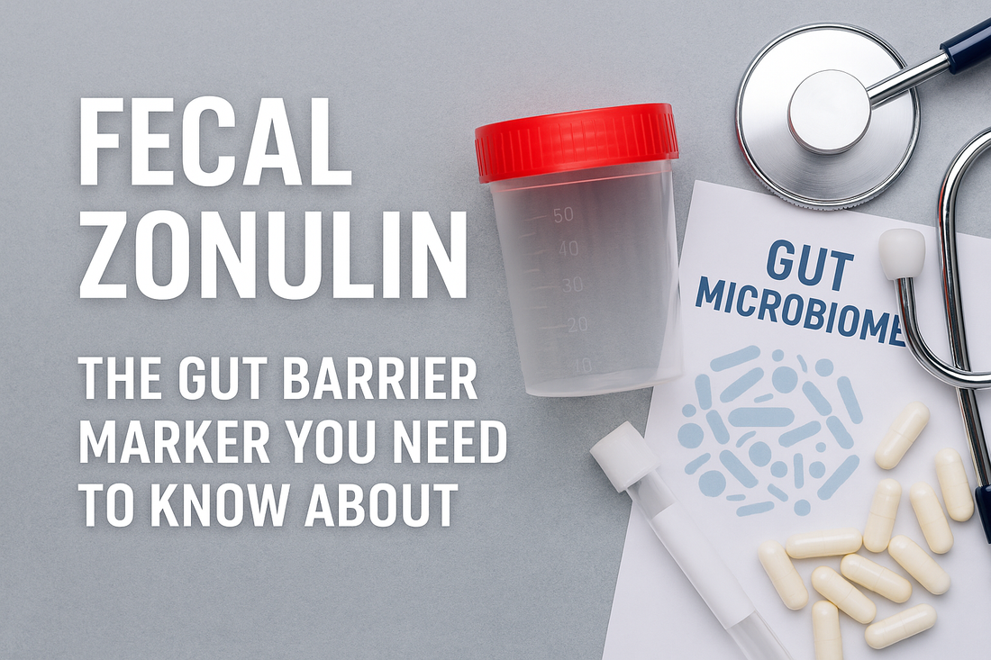 Fecal Zonulin: The Gut Barrier Marker You Need to Know About