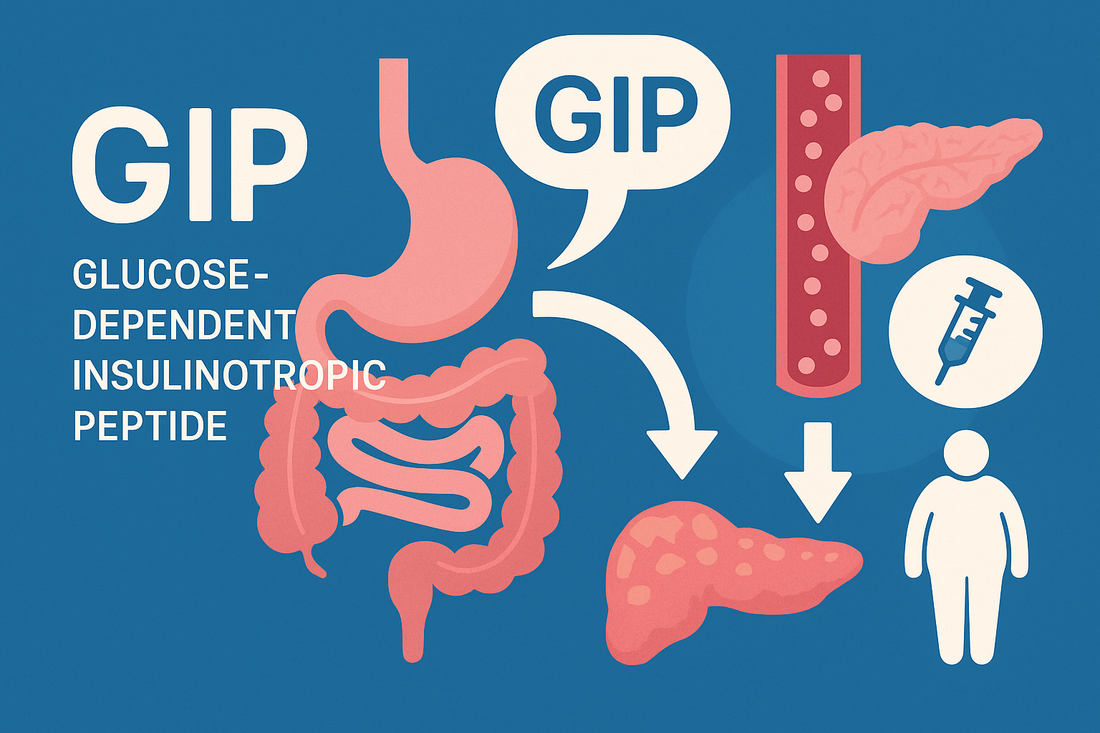 What Is GIP? The Metabolic Hormone Fueling the Future of Weight Loss
