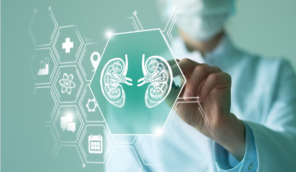 HUMAP Urine Hormone & Metabolite Test: Complete 2025 Guide