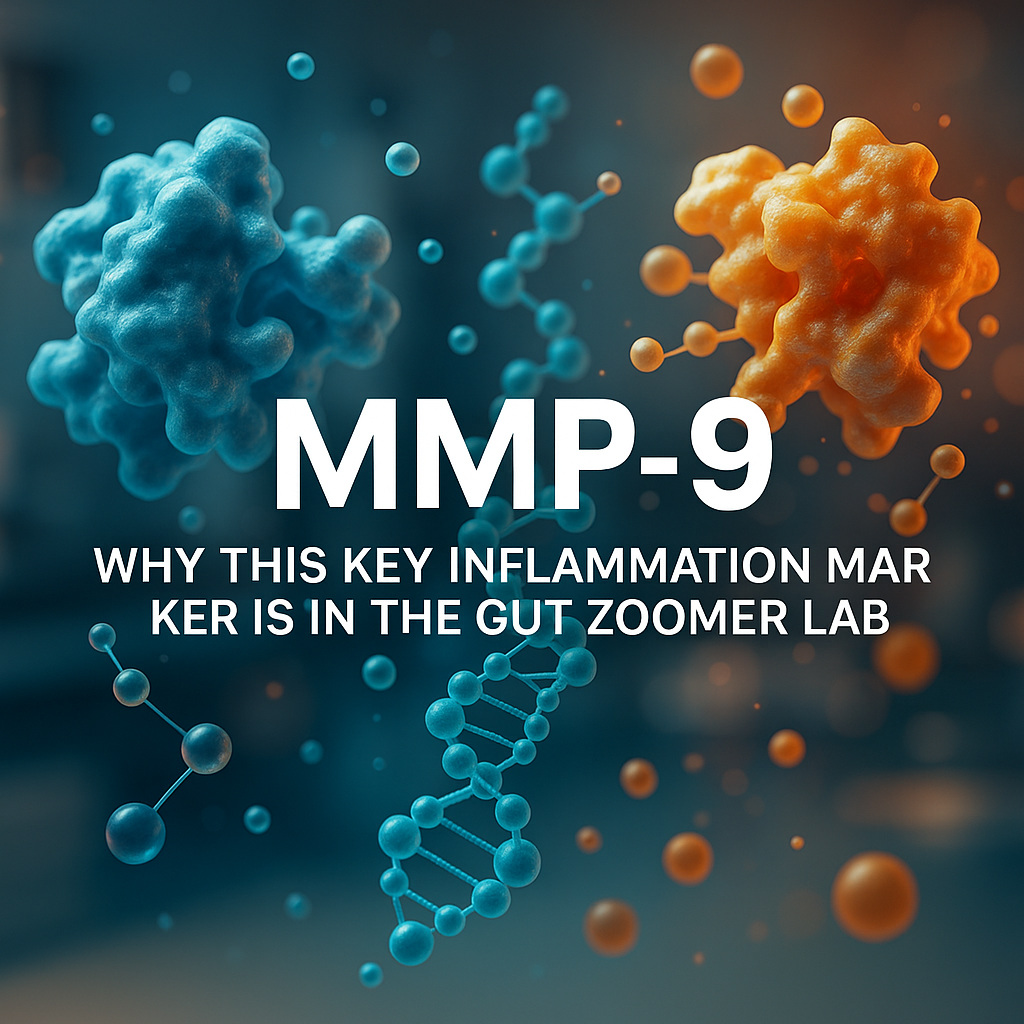 MMP-9 and Gut Health: Why This Marker is in the Gut Zoomer Lab