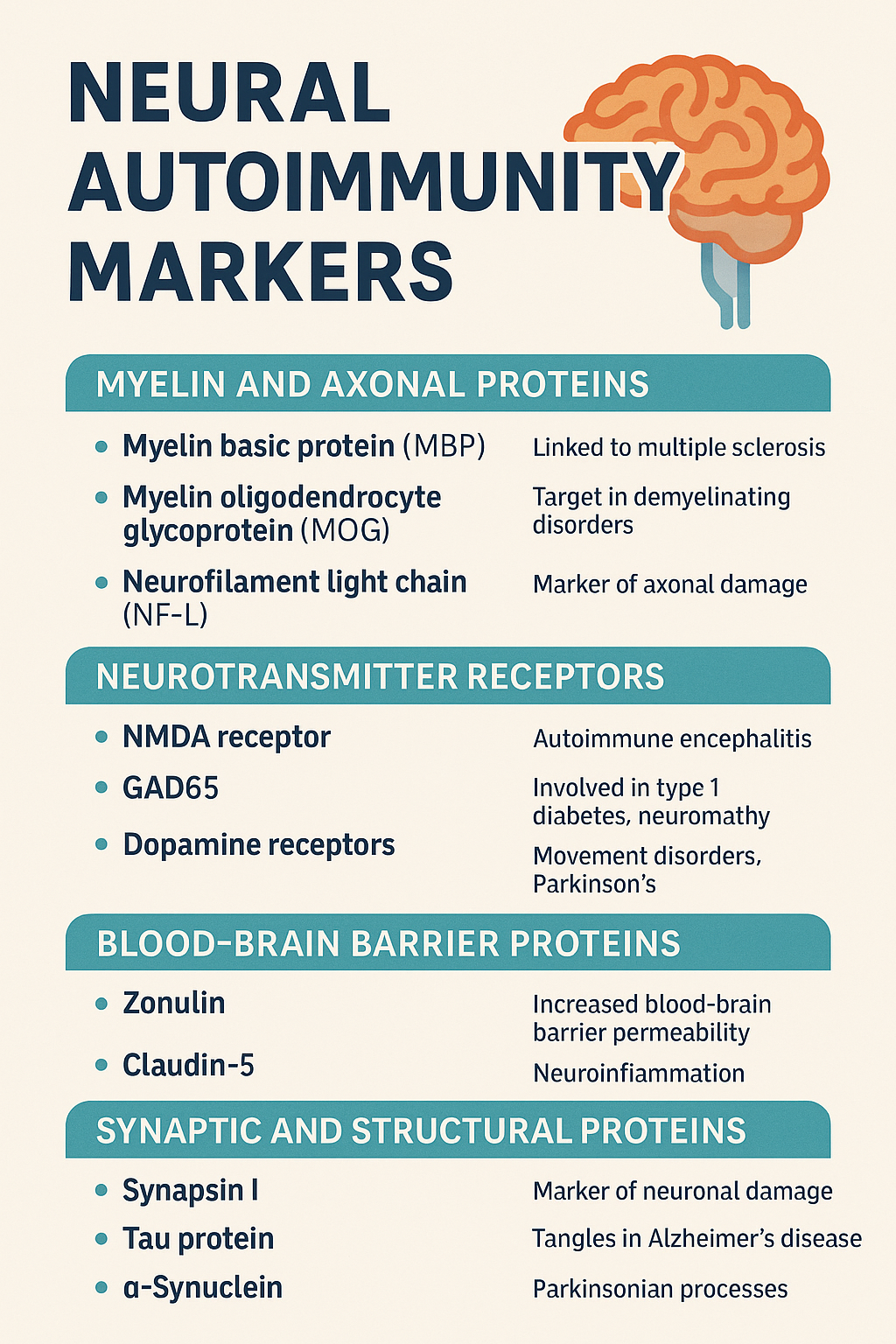 Neural Zoomer Test: Identify Neuroinflammation and Brain Autoimmunity Before It's Too Late