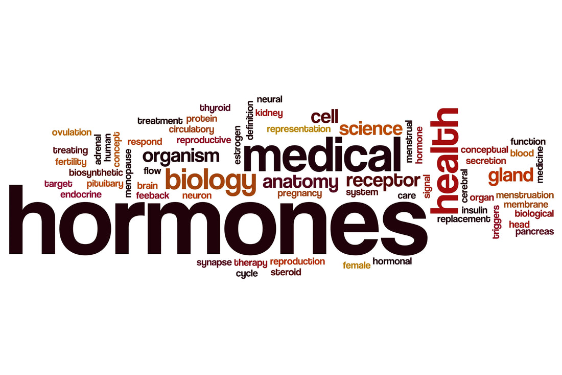 Bioidentical Hormone Replacement Therapy (BHRT) Versus Other Hormone Replacement