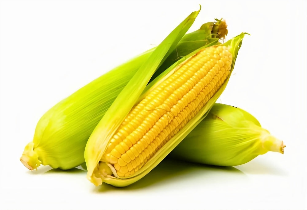 Corn Zoomer Test: Uncover Hidden Corn Sensitivities and Improve Gut Health