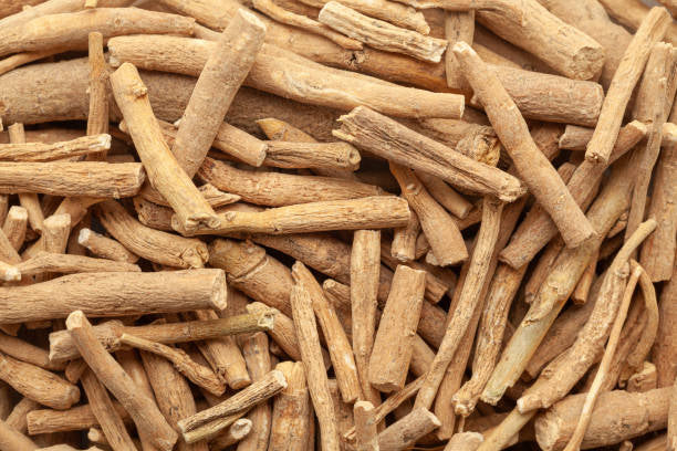 Does Ashwagandha Increase Testosterone? What You Need to Know