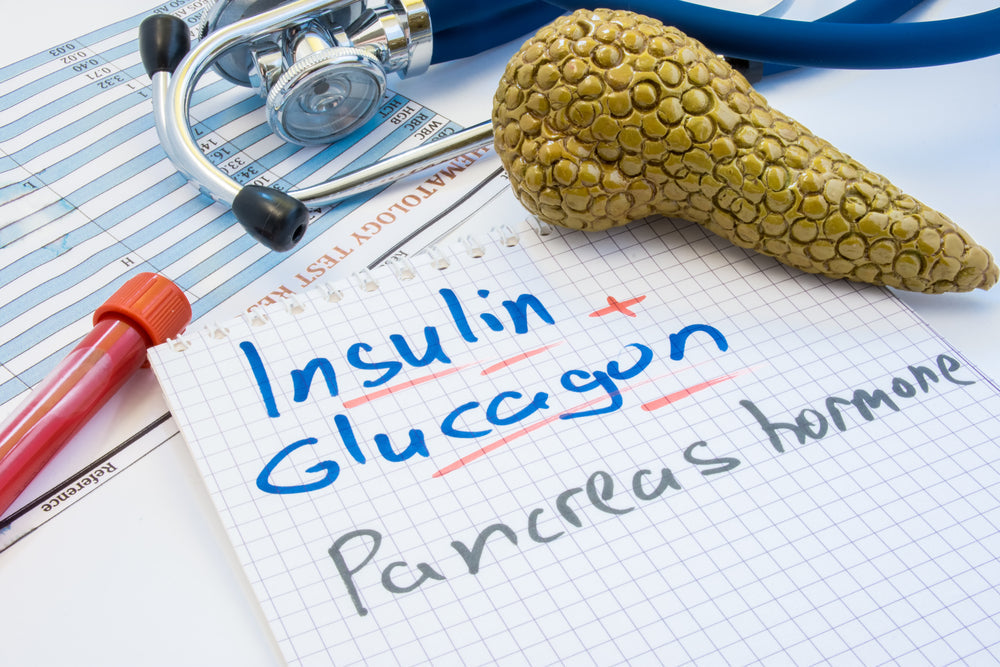 The Critical Role of the Insulin-Glucagon Ratio in Fat Burning and Metabolic Health