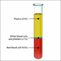 Platelet Rich Plasma (PRP) Therapy Explained