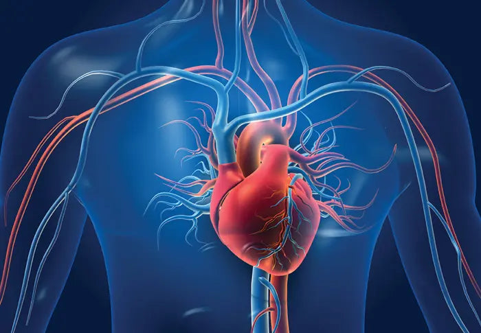 Testosterone & Coronary Artery Disease – study review
