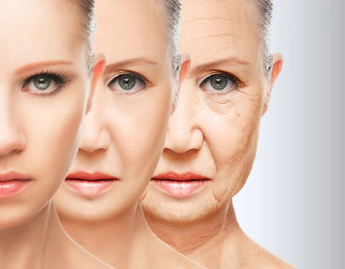 Your Skin Is Aging… Here’s Why
