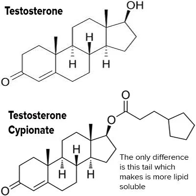 Testosterone Replacement Therapy