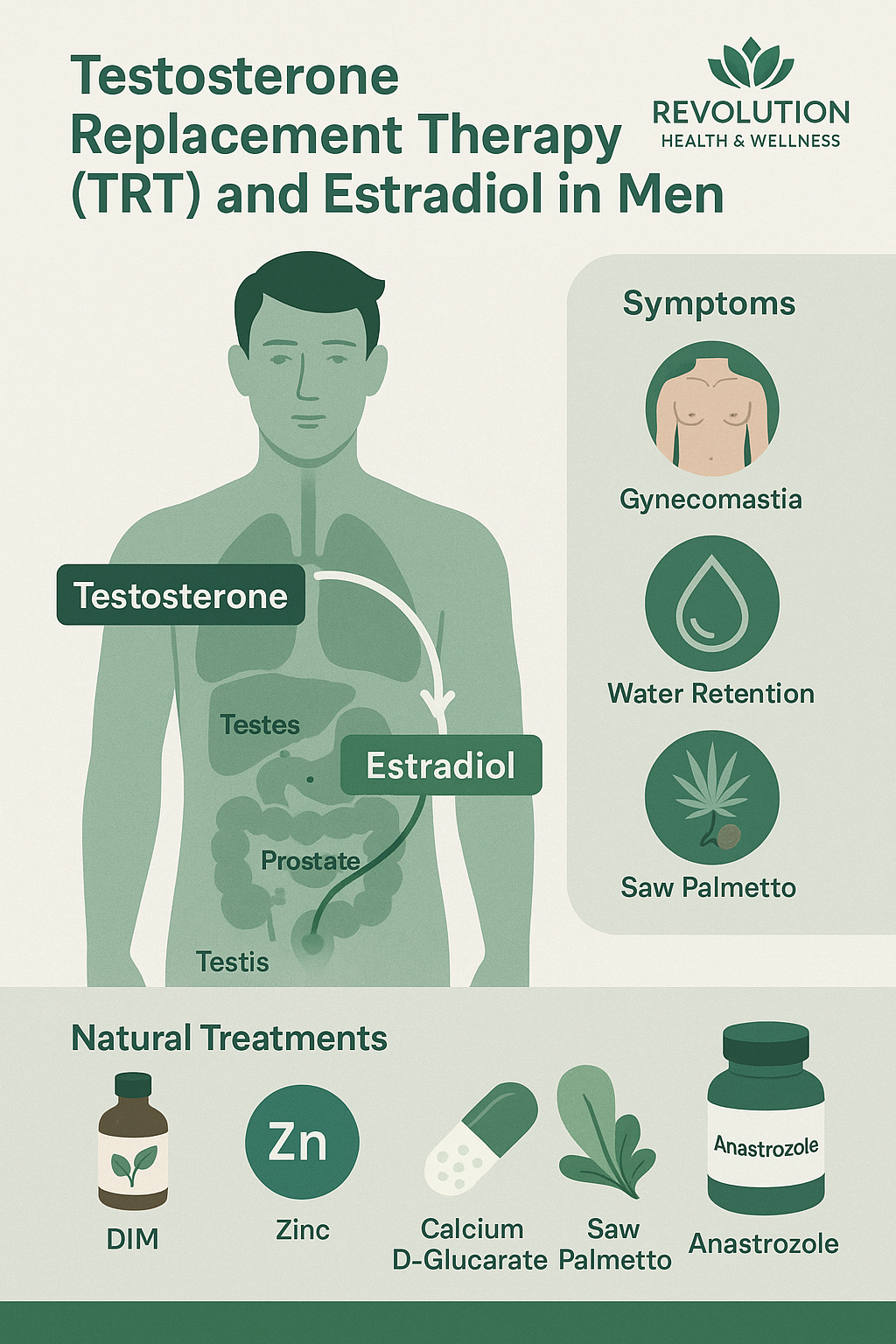 Managing Estradiol on TRT: Preventing Side Effects and Protecting Prostate Health